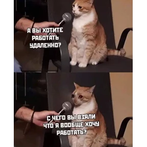 Ля кошь — стикер для MAX