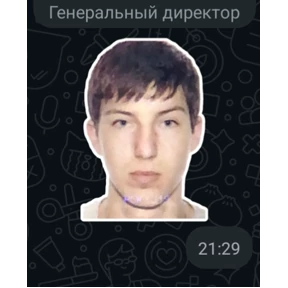 Мамонты — стикер для MAX