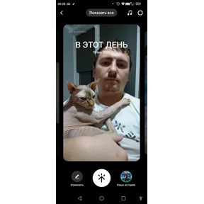 Мамонты — стикер для MAX