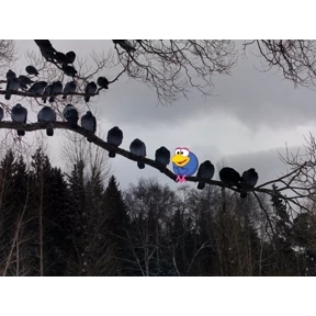 Мемесы для мемс — стикер для MAX