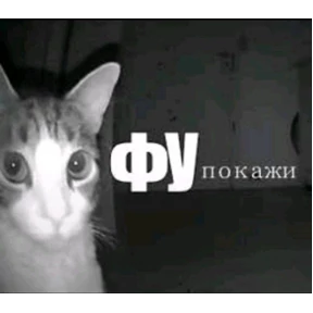 Мемесы для мемс — стикер для MAX