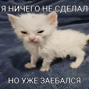 Что-то из пинтереста — стикер для MAX