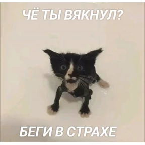 Что-то из пинтереста — стикер для MAX