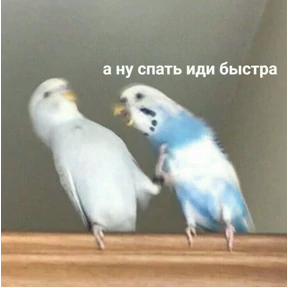Что-то из пинтереста — стикер для MAX