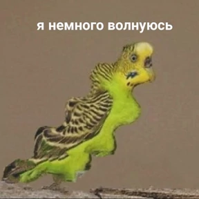 Что-то из пинтереста — стикер для MAX