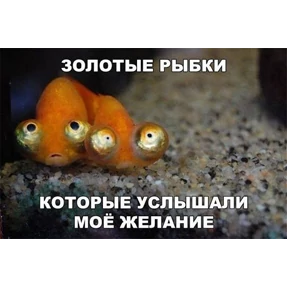 Что-то из пинтереста — стикер для MAX