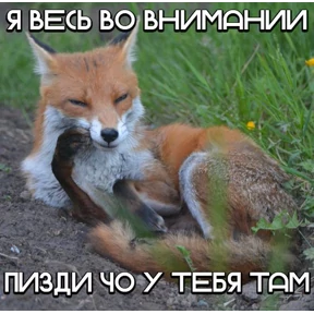 Что-то из пинтереста — стикер для MAX