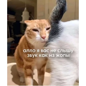 Что-то из пинтереста — стикер для MAX