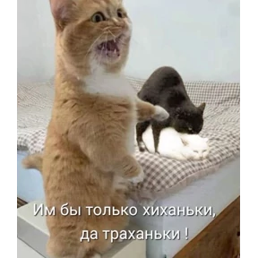 Что-то из пинтереста — стикер для MAX