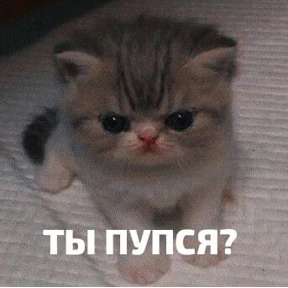 Что-то из пинтереста — стикер для MAX