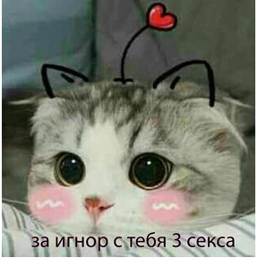 Что-то из пинтереста — стикер для MAX