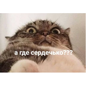 Что-то из пинтереста — стикер для MAX