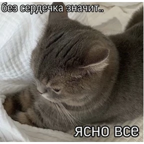 Что-то из пинтереста — стикер для MAX