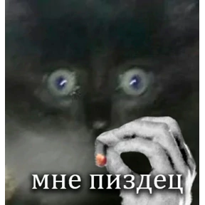 Что-то из пинтереста — стикер для MAX