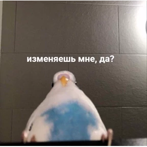 Что-то из пинтереста — стикер для MAX