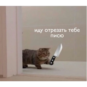 Что-то из пинтереста — стикер для MAX