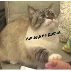 Что-то из пинтереста — стикер для MAX