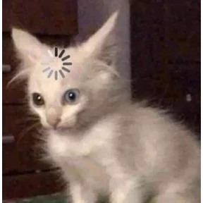 Мемс — стикер для MAX