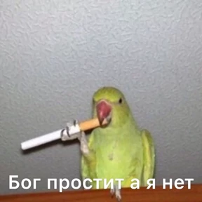 Мемс — стикер для MAX