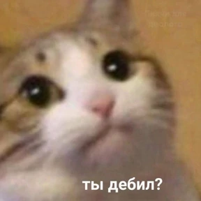 Мемс — стикер для MAX
