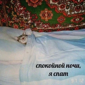 Мемс — стикер для MAX
