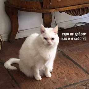 Мемс — стикер для MAX