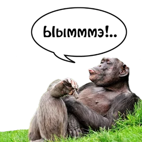 Бесленей.Ru — стикер для MAX