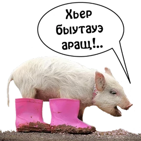 Бесленей.Ru — стикер для MAX