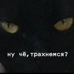 Prprprpro — стикер для MAX