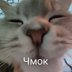 Prprprpro — стикер для MAX