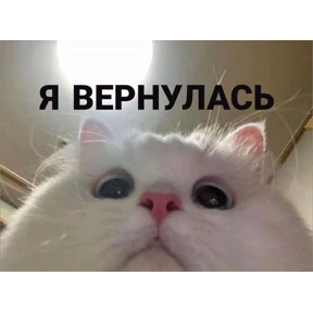 Prprprpro — стикер для MAX