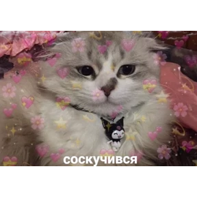 Prprprpro — стикер для MAX