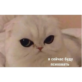 Prprprpro — стикер для MAX