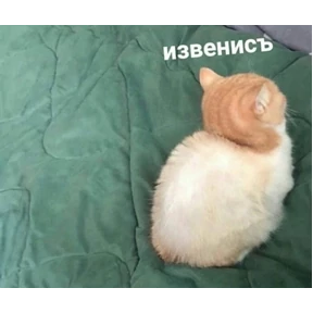 Prprprpro — стикер для MAX