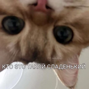 Prprprpro — стикер для MAX