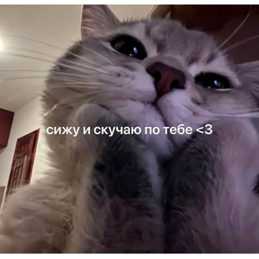 Prprprpro — стикер для MAX