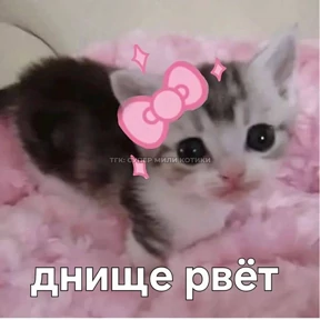 Prprprpro — стикер для MAX