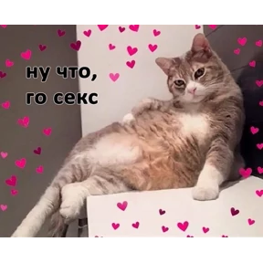 Prprprpro — стикер для MAX
