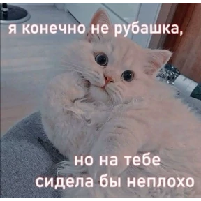 Prprprpro — стикер для MAX