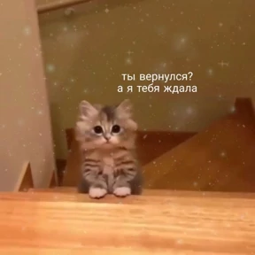 Prprprpro — стикер для MAX