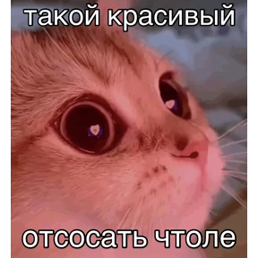 Prprprpro — стикер для MAX