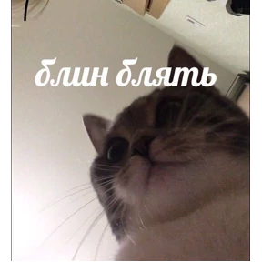 Prprprpro — стикер для MAX