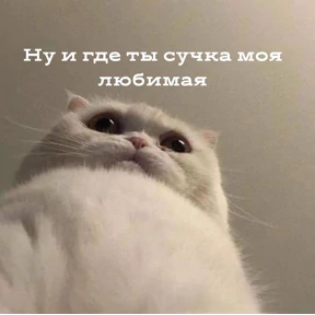 Prprprpro — стикер для MAX
