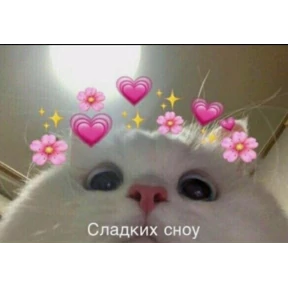 Prprprpro — стикер для MAX