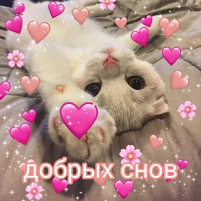 Prprprpro — стикер для MAX