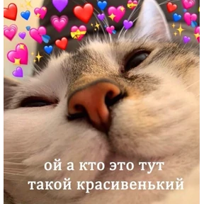 Prprprpro — стикер для MAX
