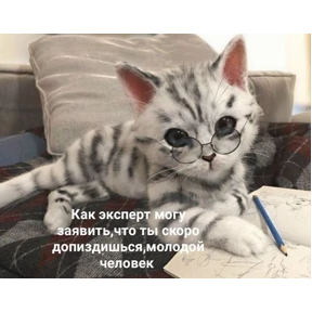 Prprprpro — стикер для MAX