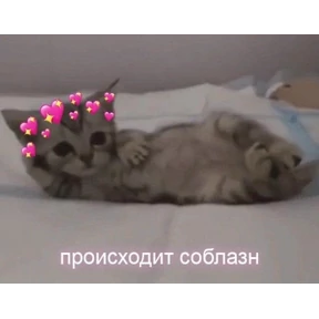 Prprprpro — стикер для MAX