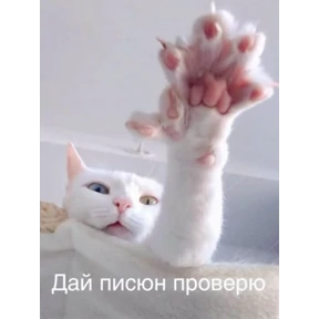 Prprprpro — стикер для MAX