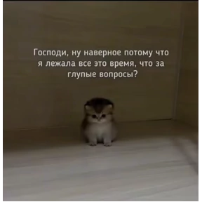 Prprprpro — стикер для MAX